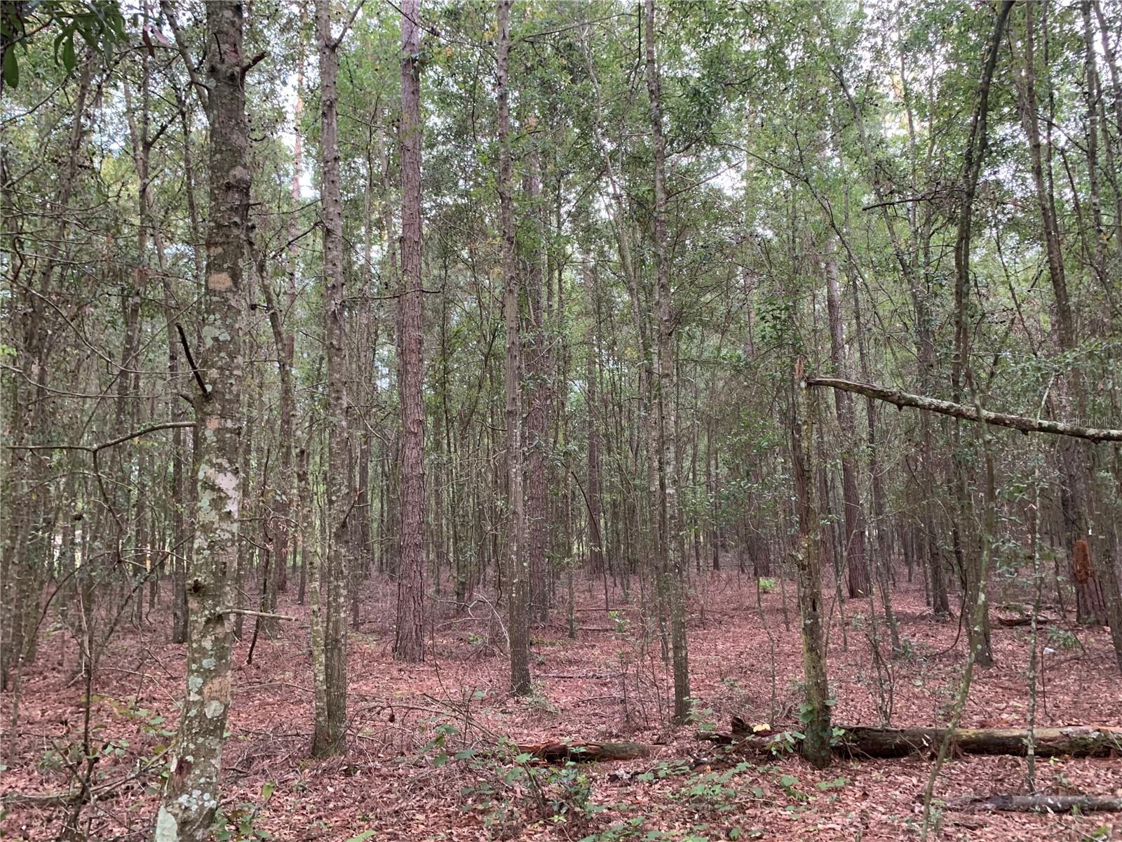 US HWY 129, O'BRIEN, FL, 32071