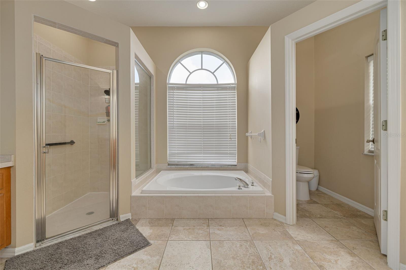 9807 BALSARIDGE CT, TRINITY, FL, 34655