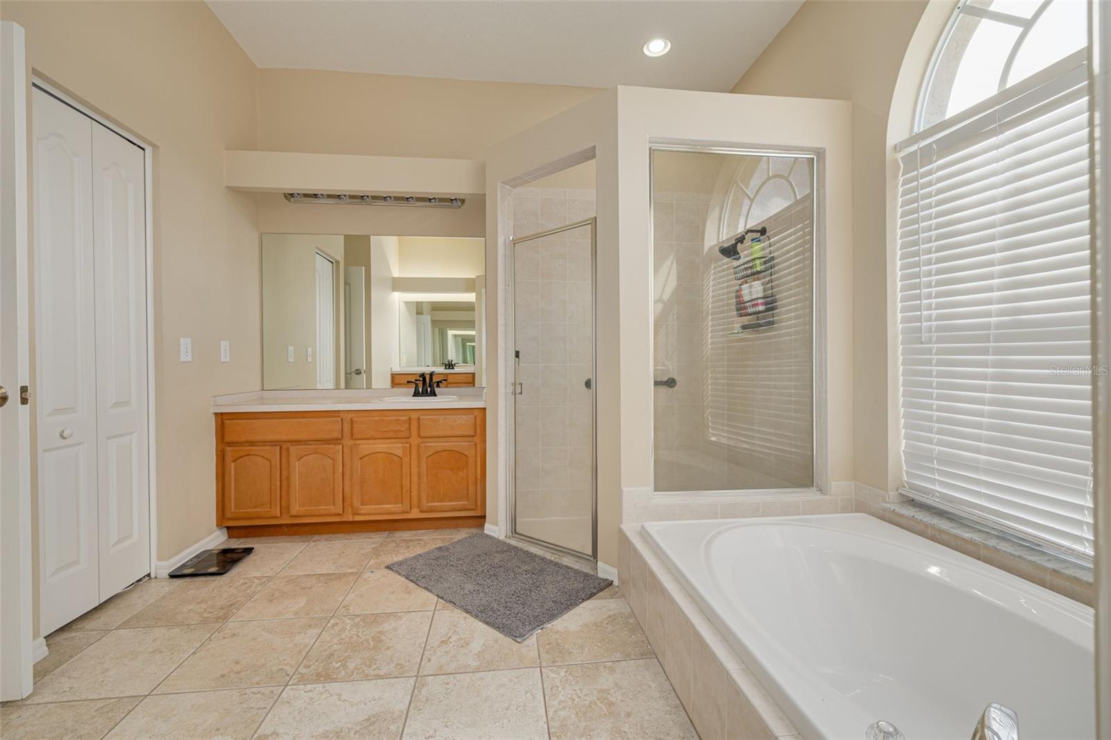 9807 BALSARIDGE CT, TRINITY, FL, 34655