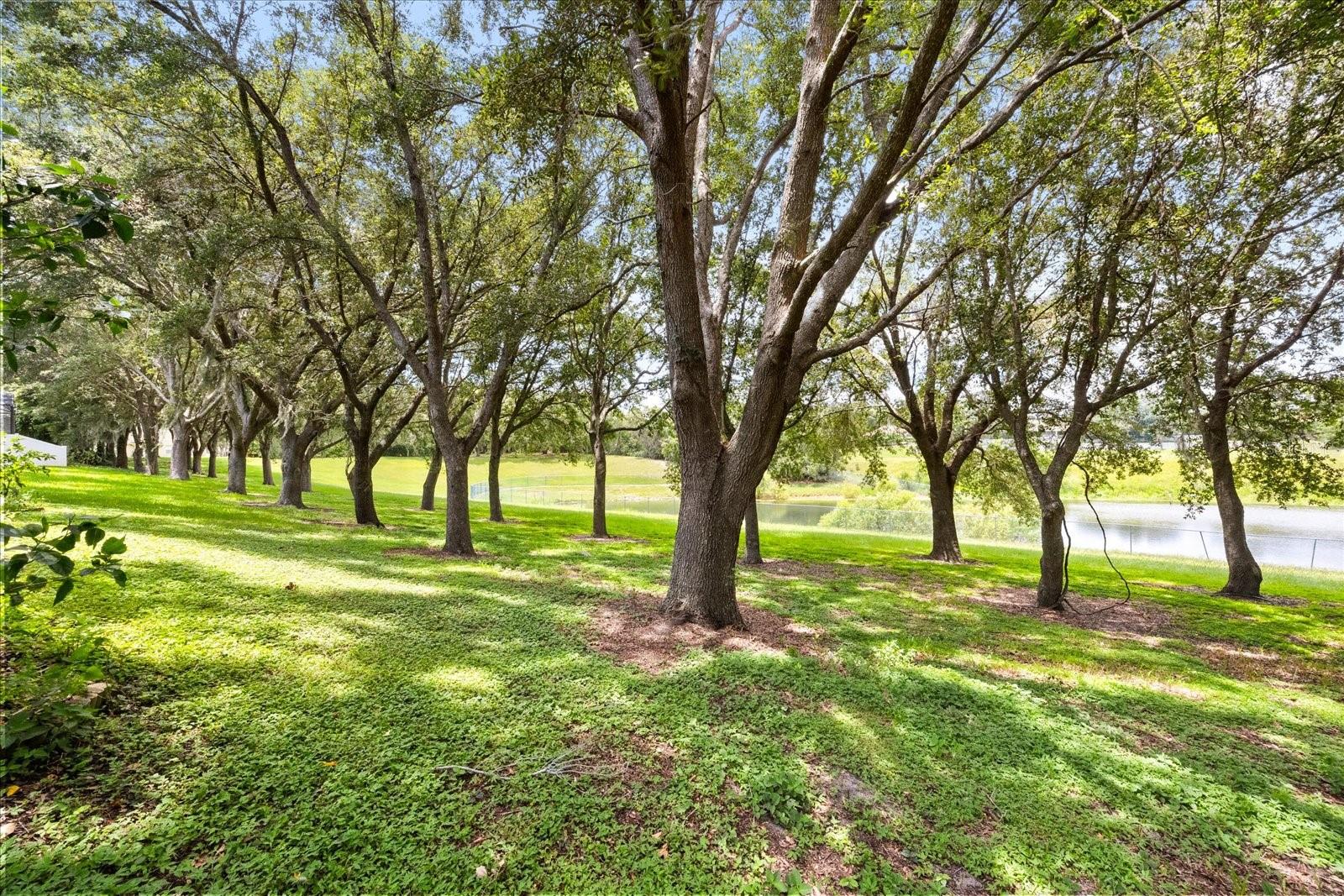 2014 APPLEGATE DR, OCOEE, FL, 34761