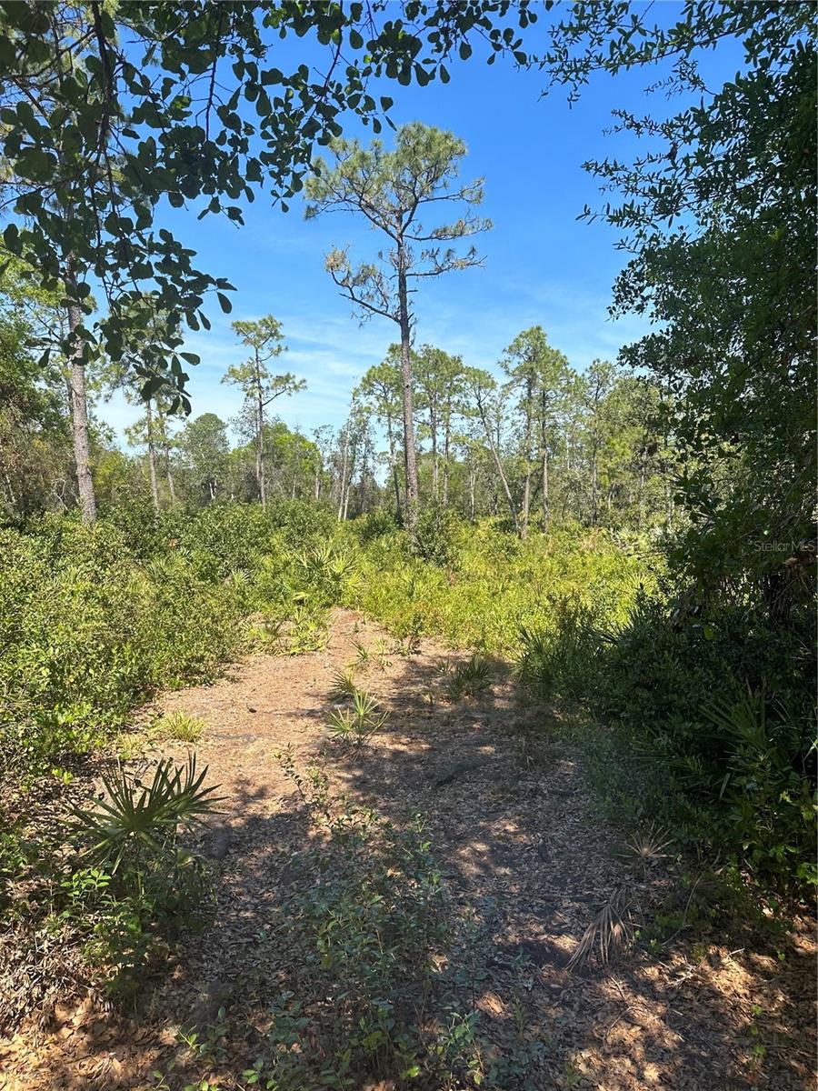 2954 SLED RD, CHRISTMAS, FL, 32709
