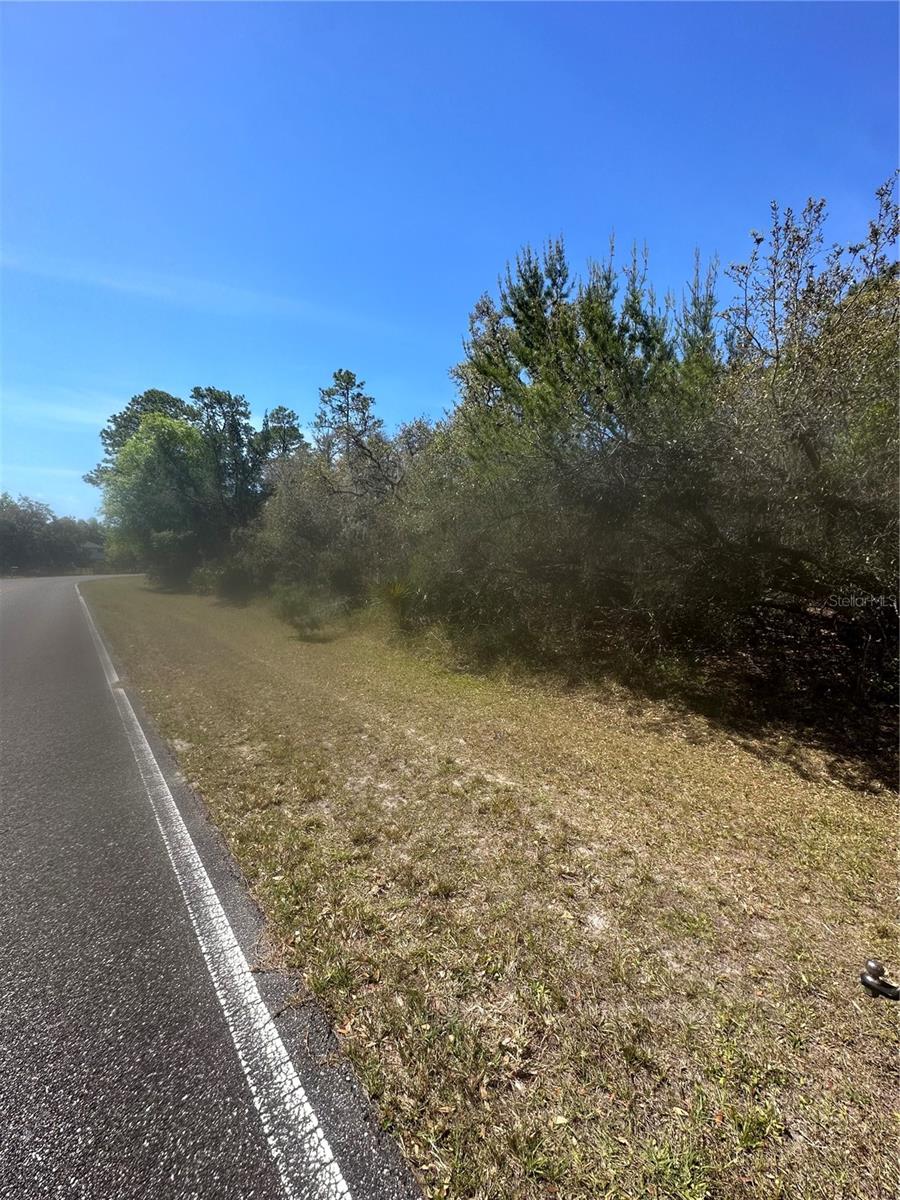 2954 SLED RD, CHRISTMAS, FL, 32709