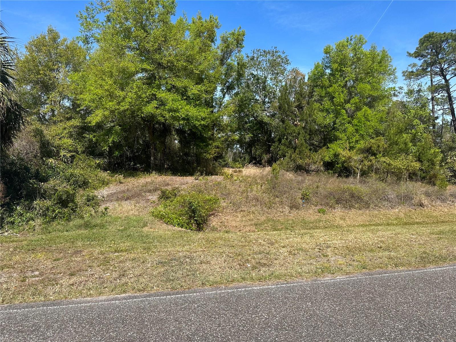 2954 SLED RD, CHRISTMAS, FL, 32709