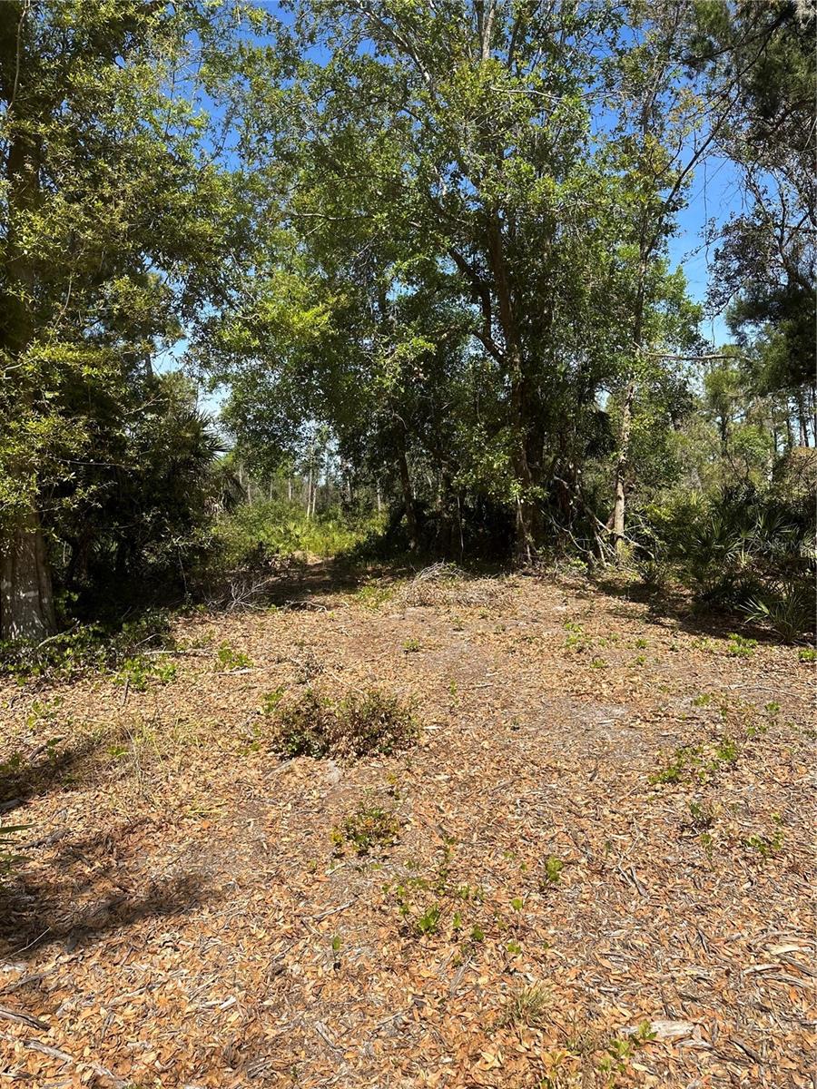 2954 SLED RD, CHRISTMAS, FL, 32709