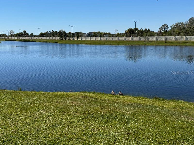 14374 ORCHID ISLAND DR, ORLANDO, FL, 32827