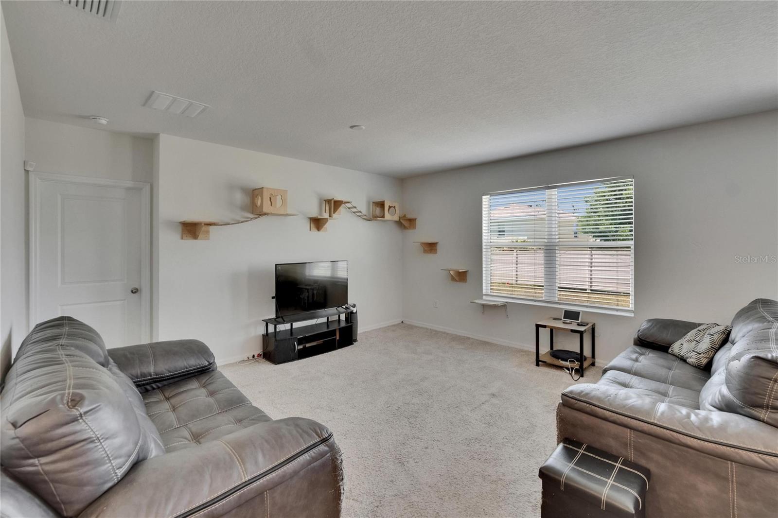 14153 ARBOR PINES DR, RIVERVIEW, FL, 33579