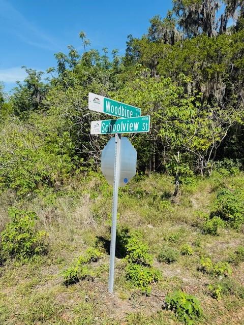 WOODBINE LN, LEESBURG, FL, 34748