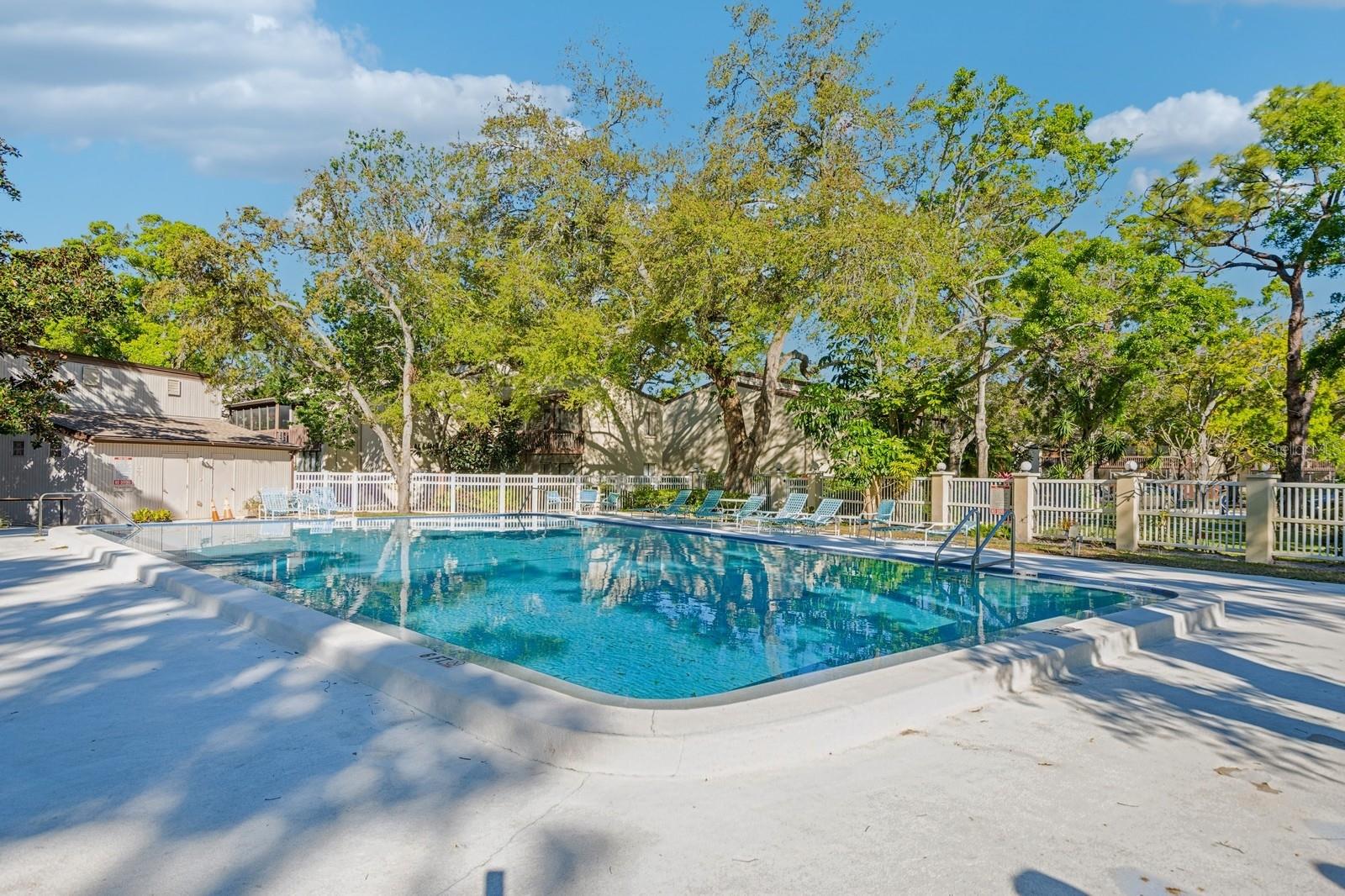 700 STARKEY RD #411, LARGO, FL, 33771