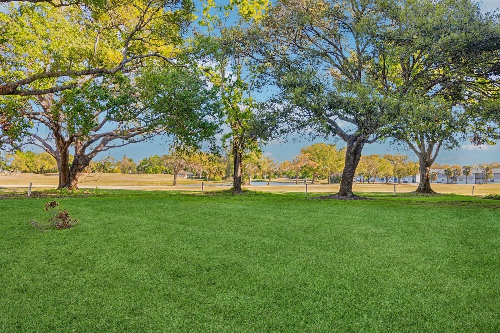 700 STARKEY RD #411, LARGO, FL, 33771
