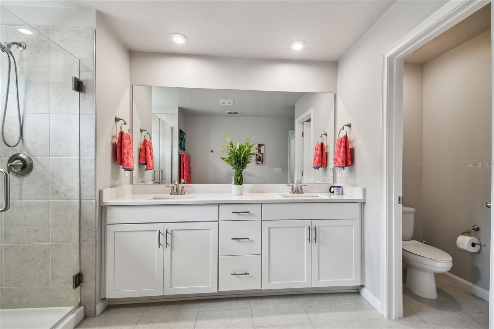 19398 GREAT INTENTION WAY, LUTZ, FL, 33558