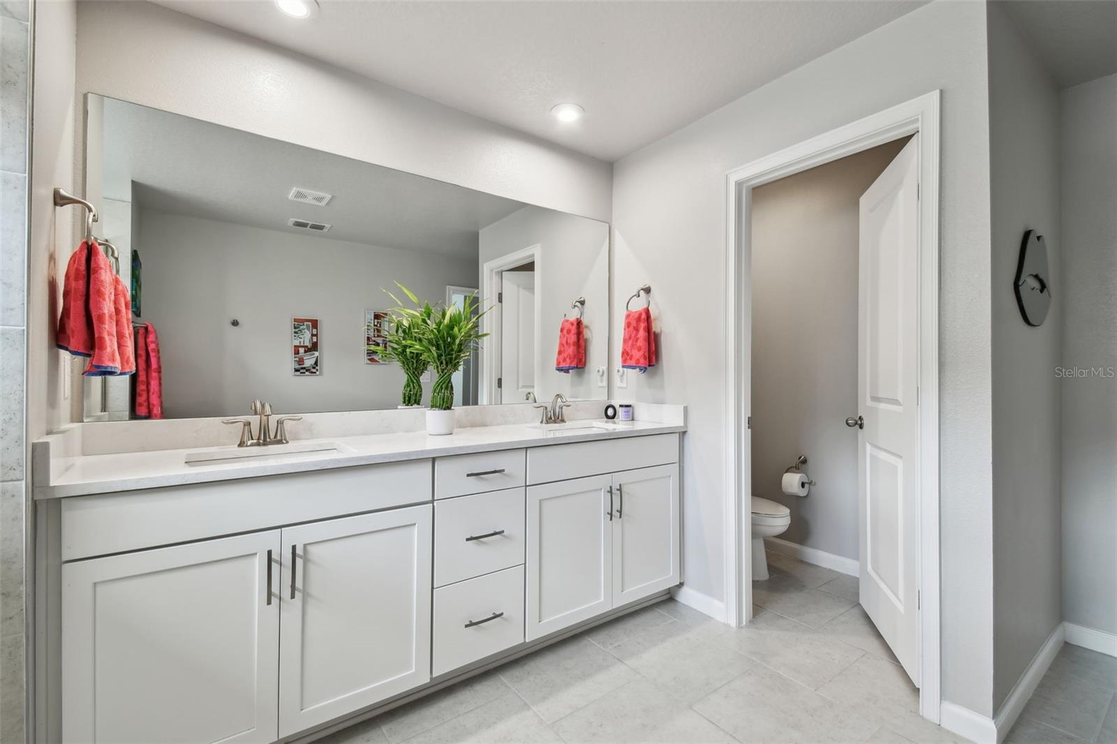 19398 GREAT INTENTION WAY, LUTZ, FL, 33558