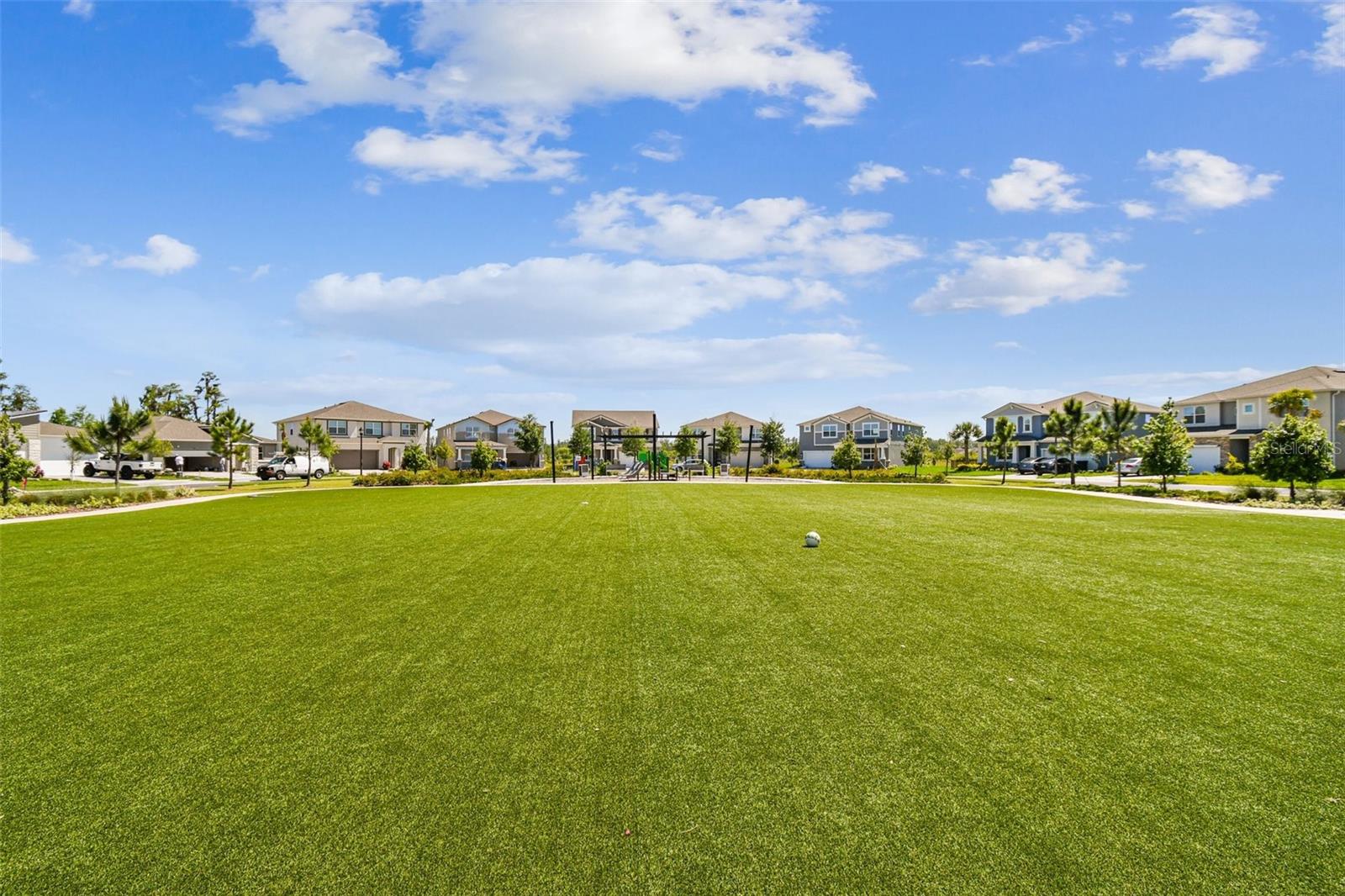 19398 GREAT INTENTION WAY, LUTZ, FL, 33558