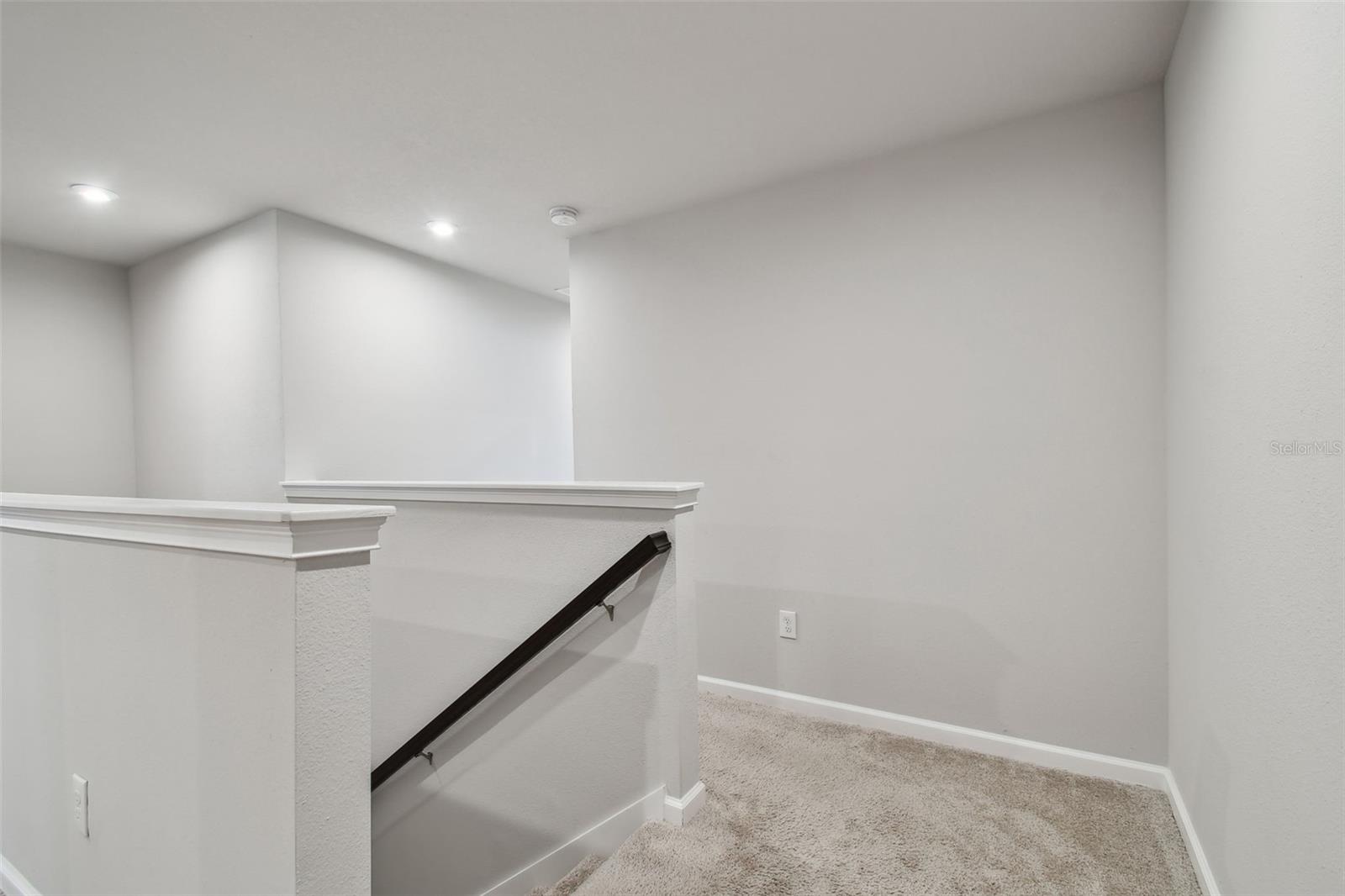 19398 GREAT INTENTION WAY, LUTZ, FL, 33558