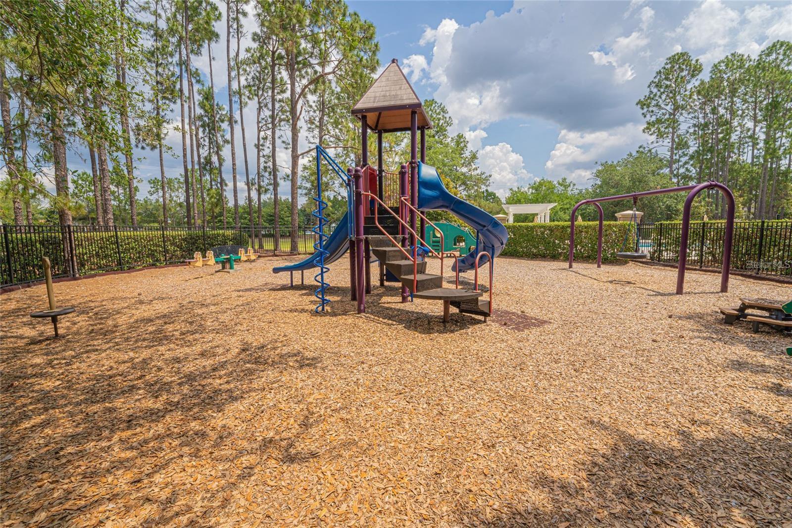 12520 CRAGSIDE LN, WINDERMERE, FL, 34786