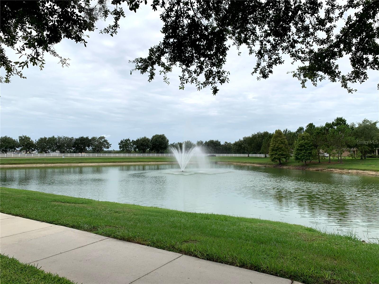 12520 CRAGSIDE LN, WINDERMERE, FL, 34786