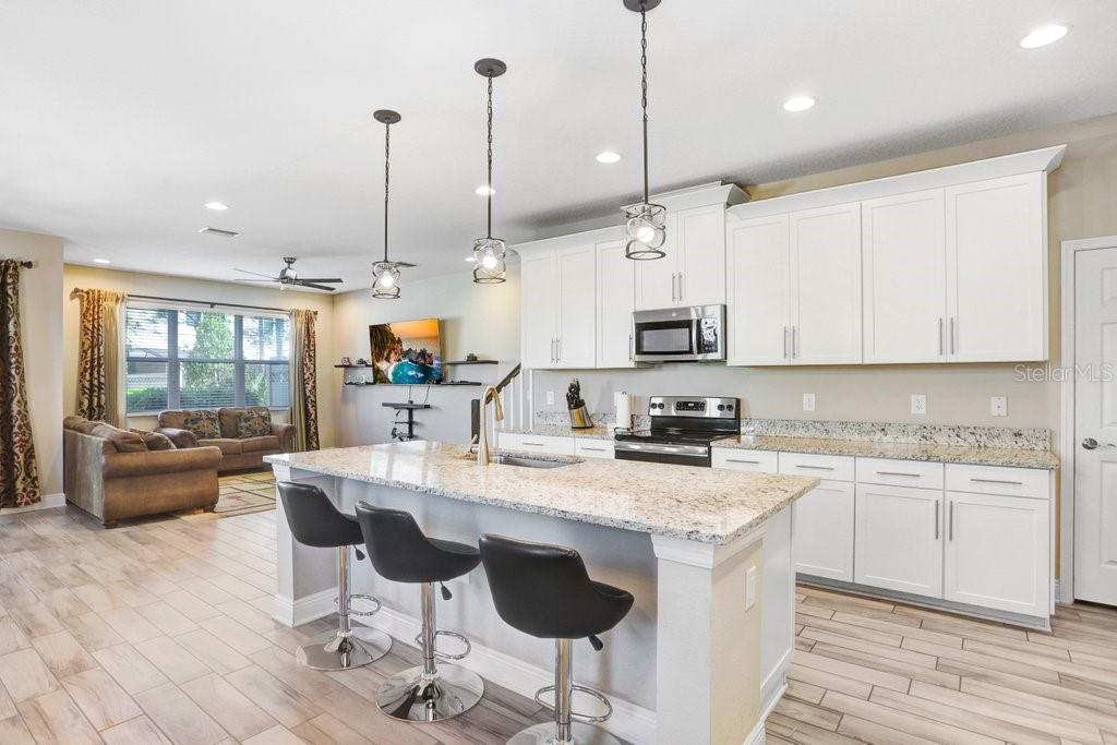 30300 SOUTHWELL LN, WESLEY CHAPEL, FL, 33543
