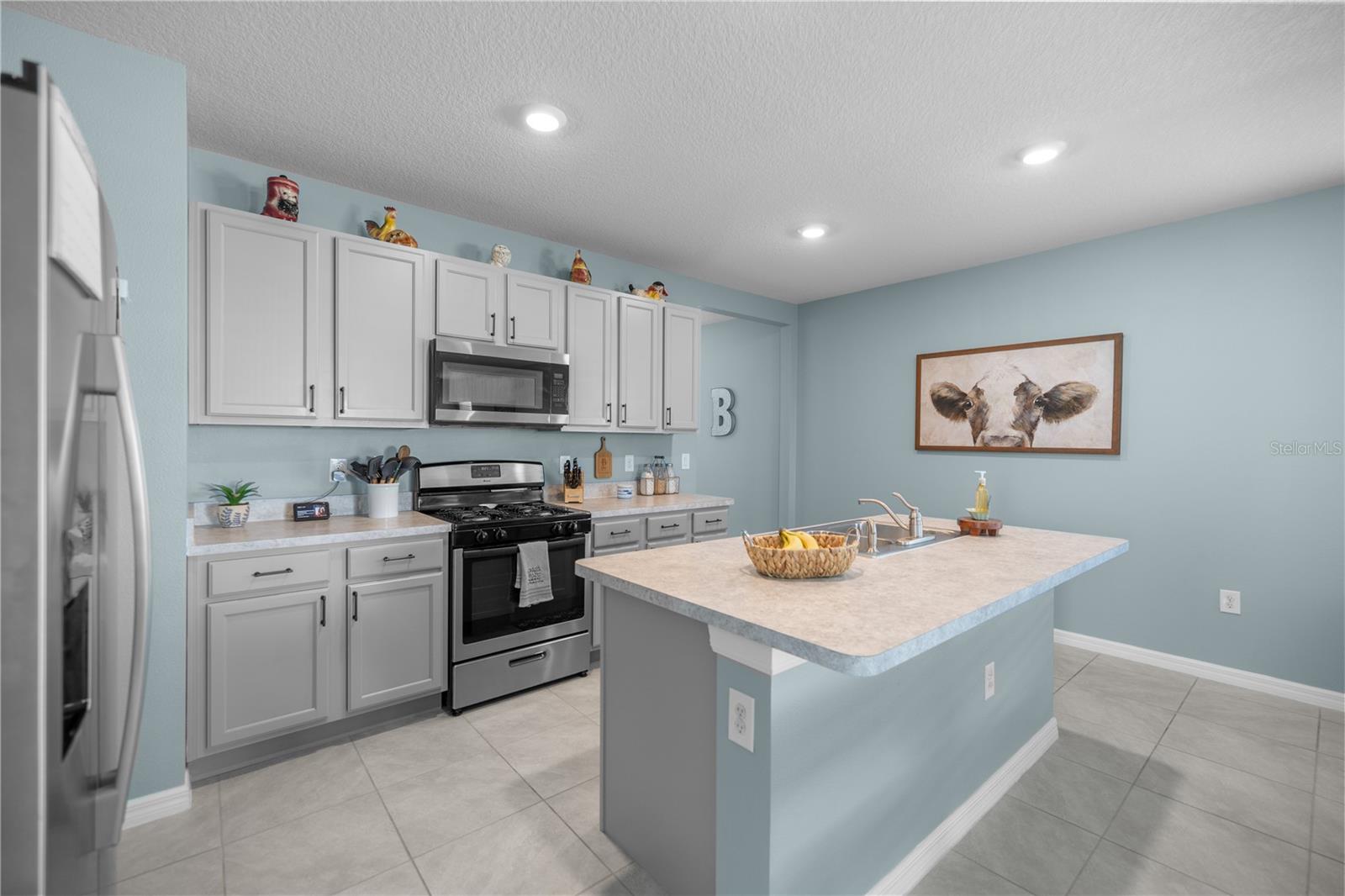 29496 CASPIAN ST, LEESBURG, FL, 34748
