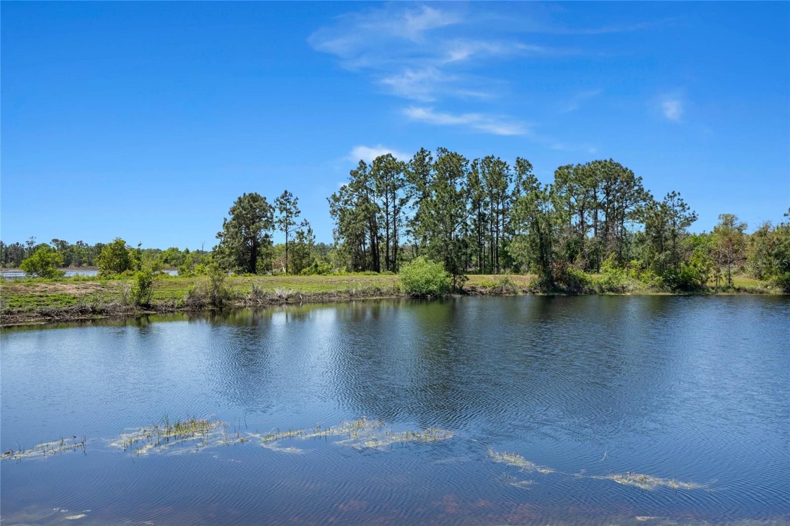 16781 MEADOWS ST, CLERMONT, FL, 34714