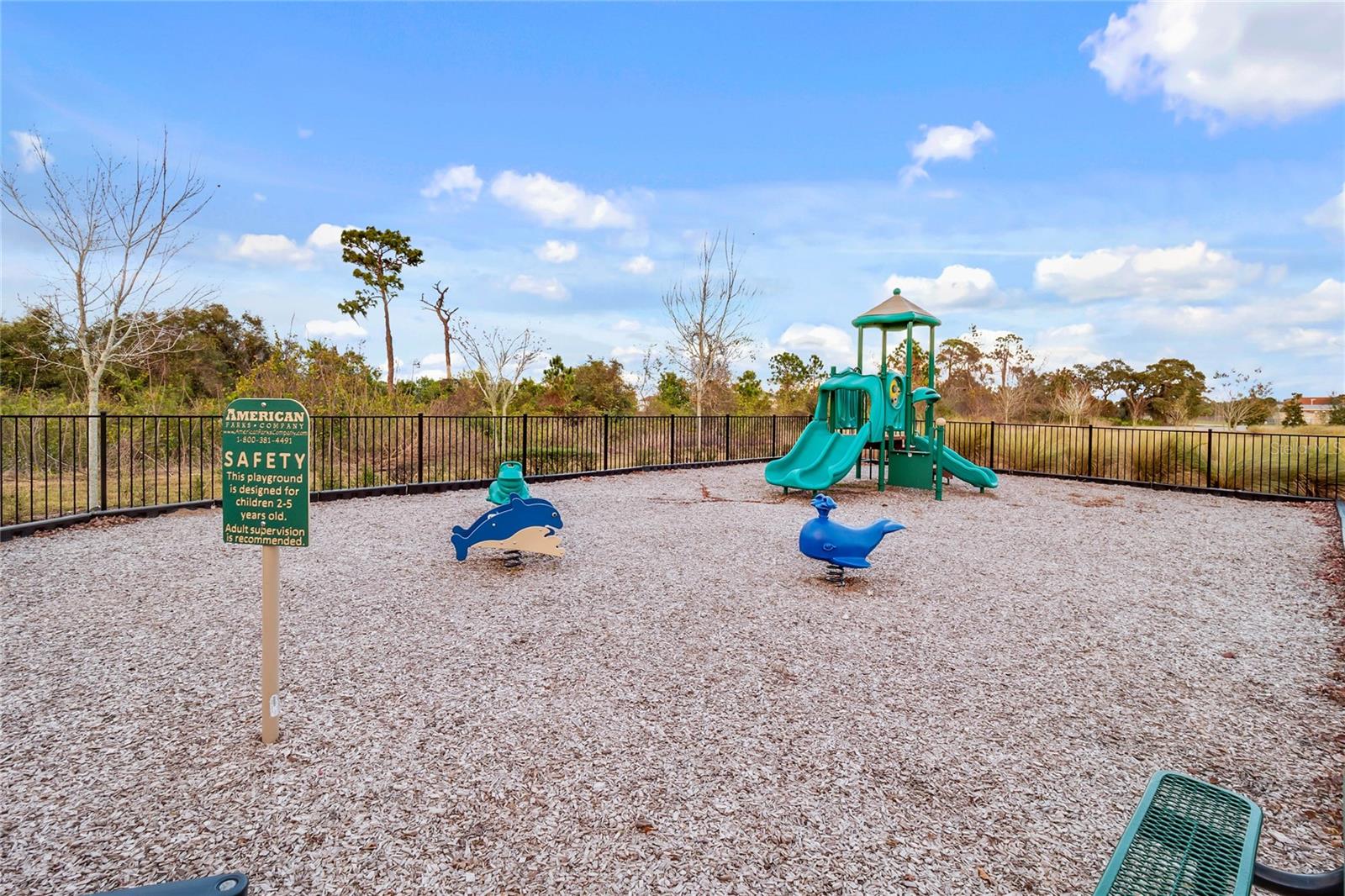 16781 MEADOWS ST, CLERMONT, FL, 34714