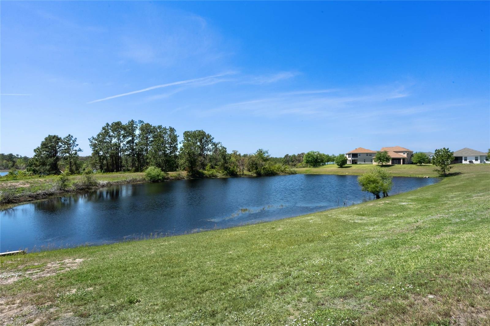 16781 MEADOWS ST, CLERMONT, FL, 34714