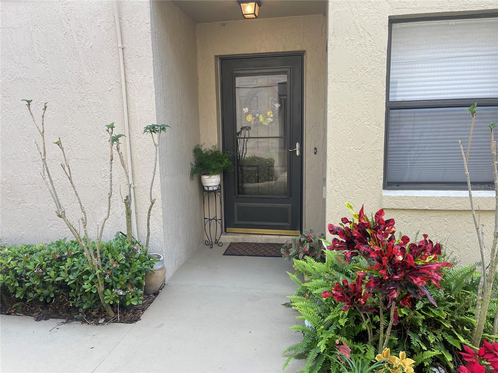 2809 WINGFOOT CT, WINTER HAVEN, FL, 33884