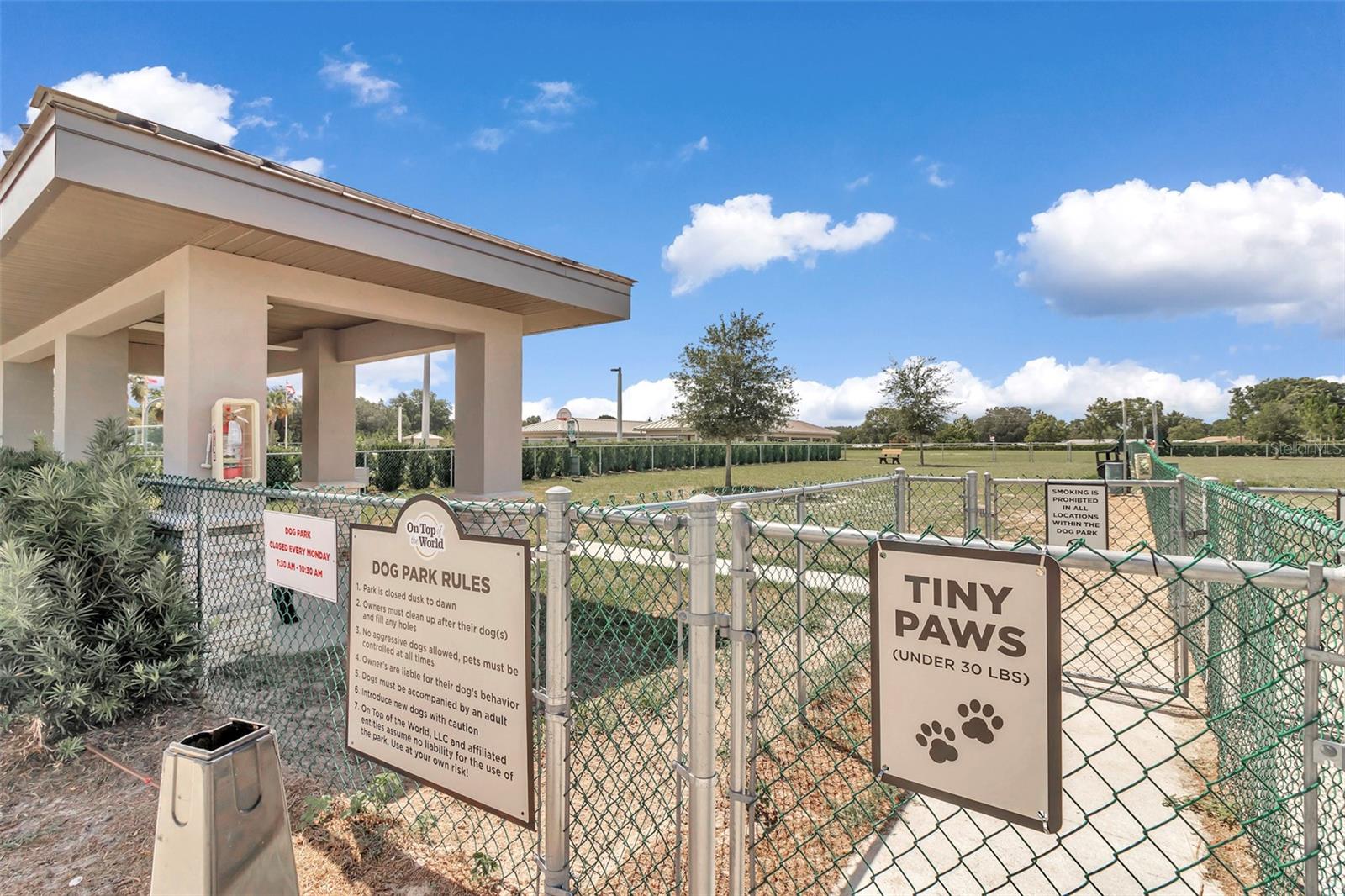 8855 SW 85TH LOOP, OCALA, FL, 34481