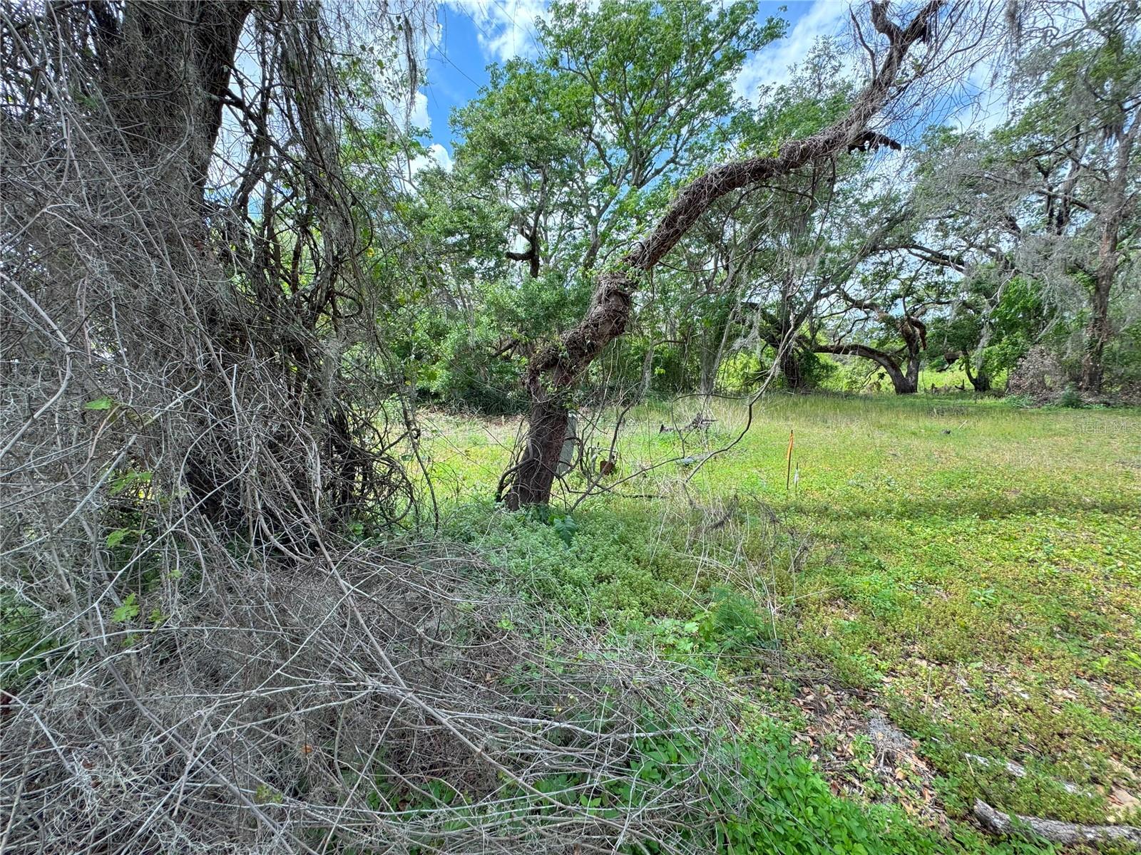 3221 DUBLIN RD, DADE CITY, FL, 33523