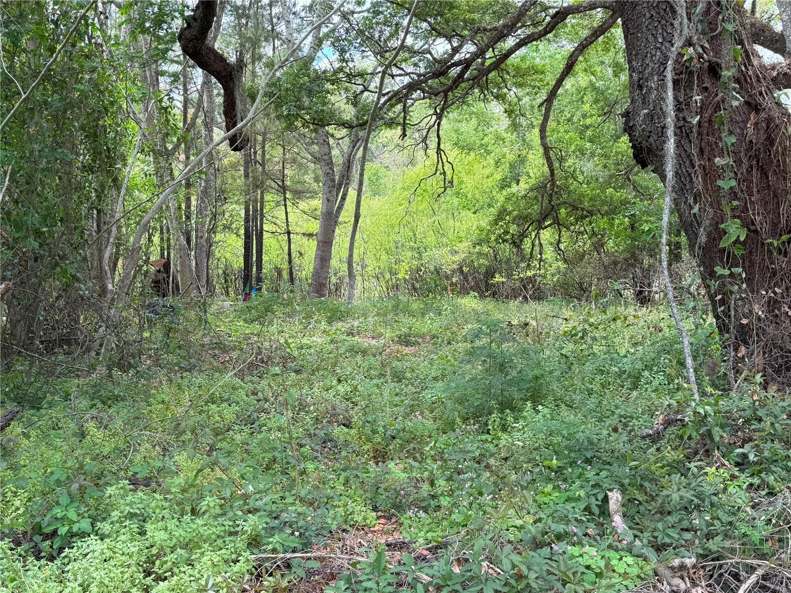 3221 DUBLIN RD, DADE CITY, FL, 33523