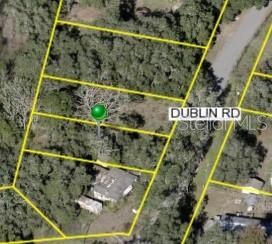 3221 DUBLIN RD, DADE CITY, FL, 33523