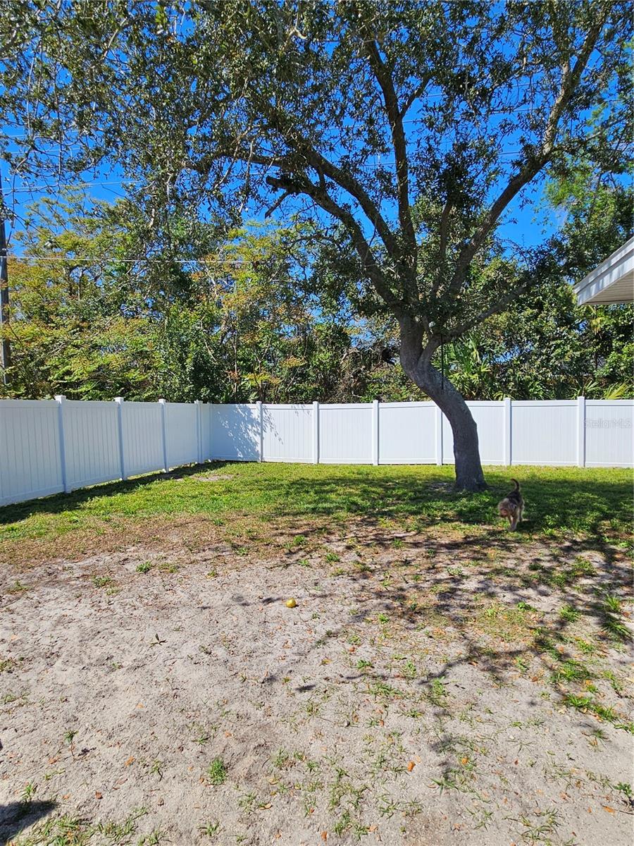 787 ALHAMBRA AVE, ST AUGUSTINE, FL, 32086