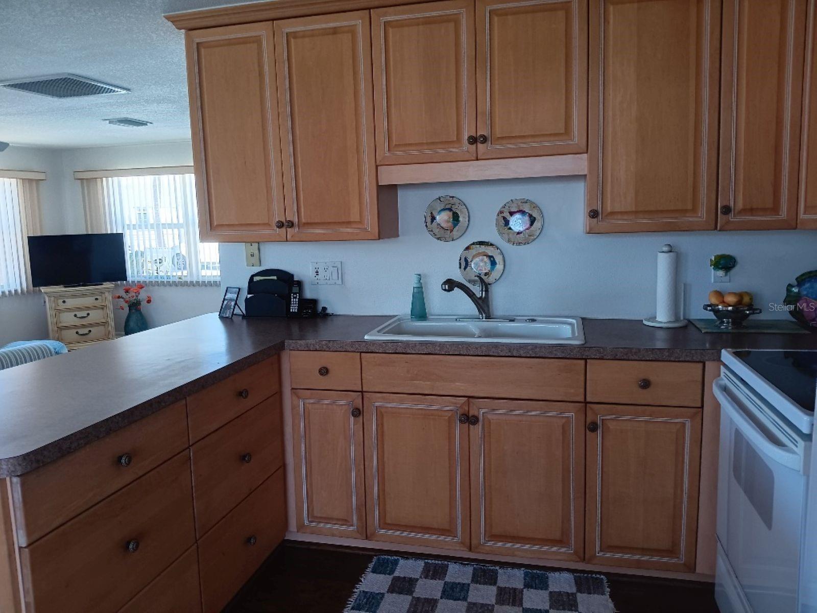 736 CAREFREE, VENICE, FL, 34285