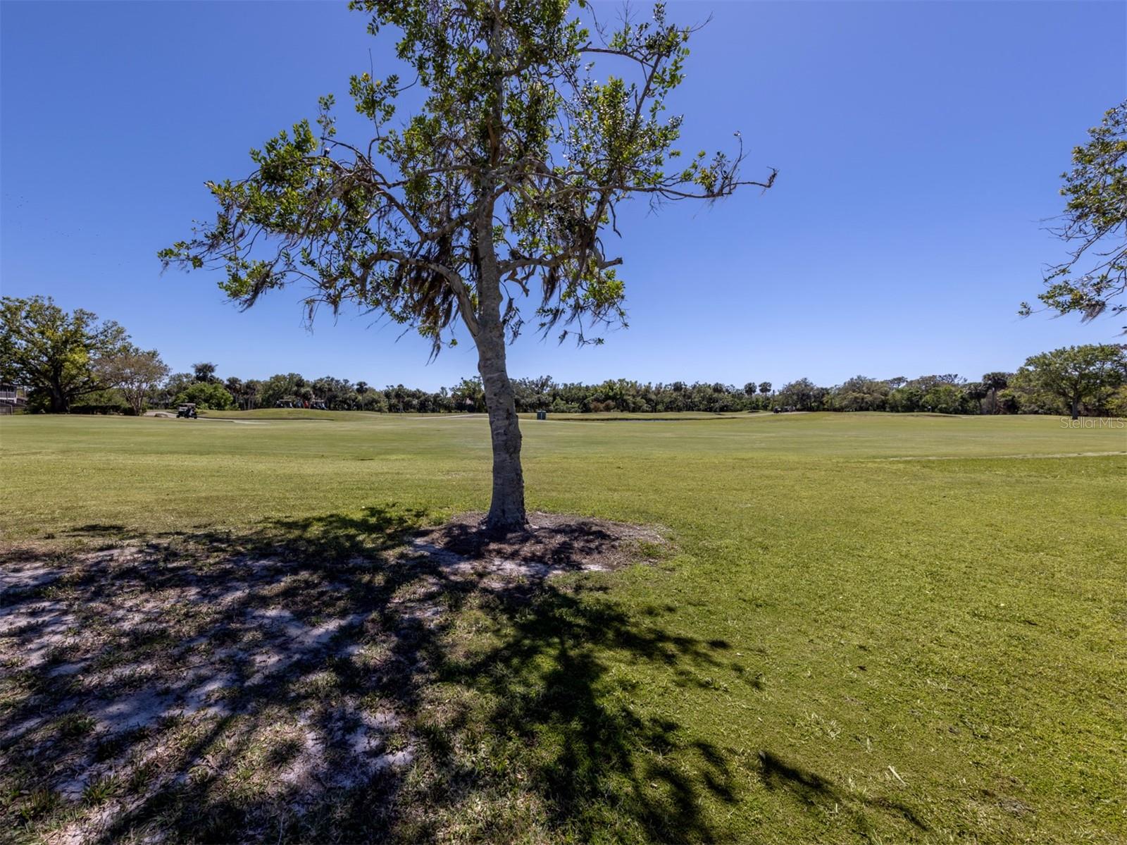 1041 CAPRI ISLES BLVD #224, VENICE, FL, 34292