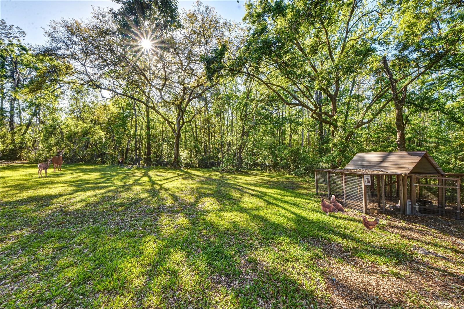 14114 N 301 HWY, THONOTOSASSA, FL, 33592