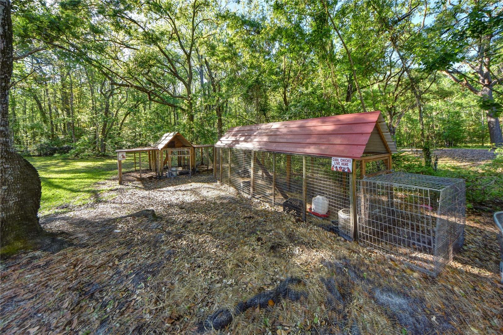 14114 N 301 HWY, THONOTOSASSA, FL, 33592