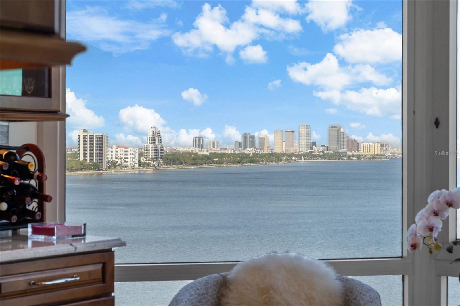 3435 BAYSHORE BLVD #1401S, TAMPA, FL, 33629