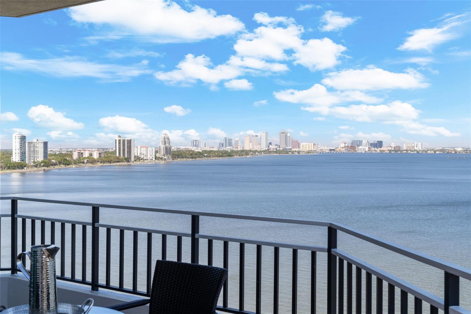 3435 BAYSHORE BLVD #1401S, TAMPA, FL, 33629