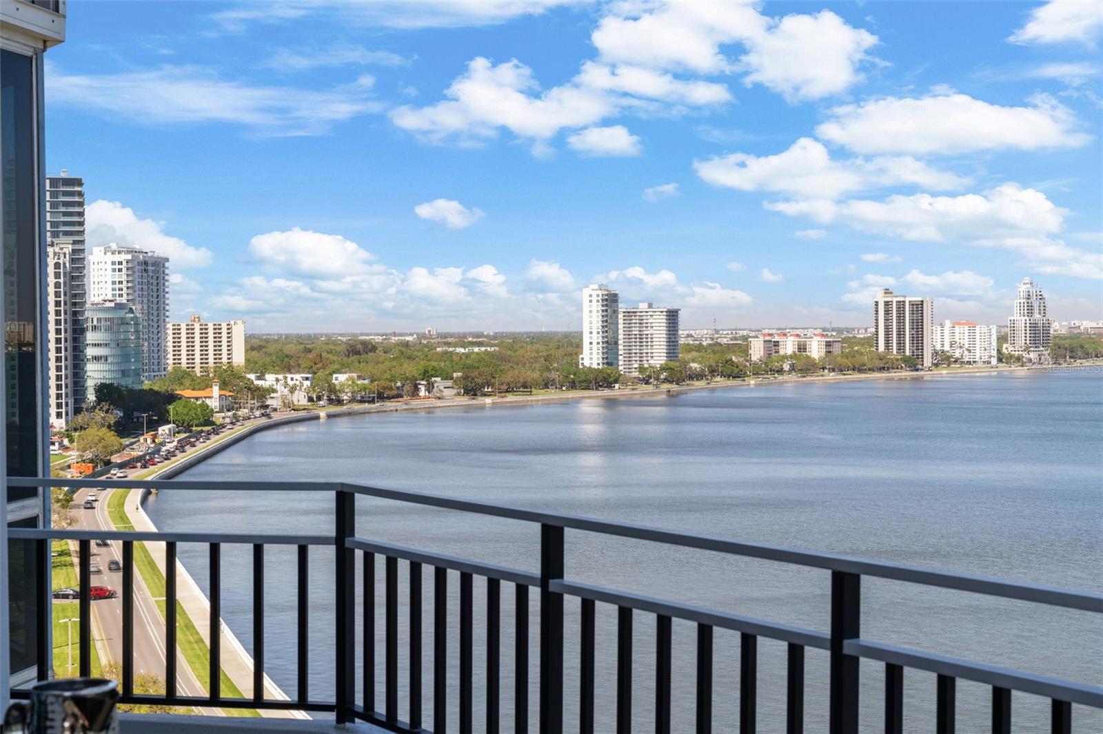 3435 BAYSHORE BLVD #1401S, TAMPA, FL, 33629
