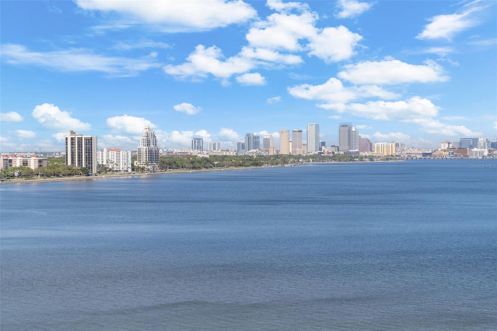3435 BAYSHORE BLVD #1401S, TAMPA, FL, 33629