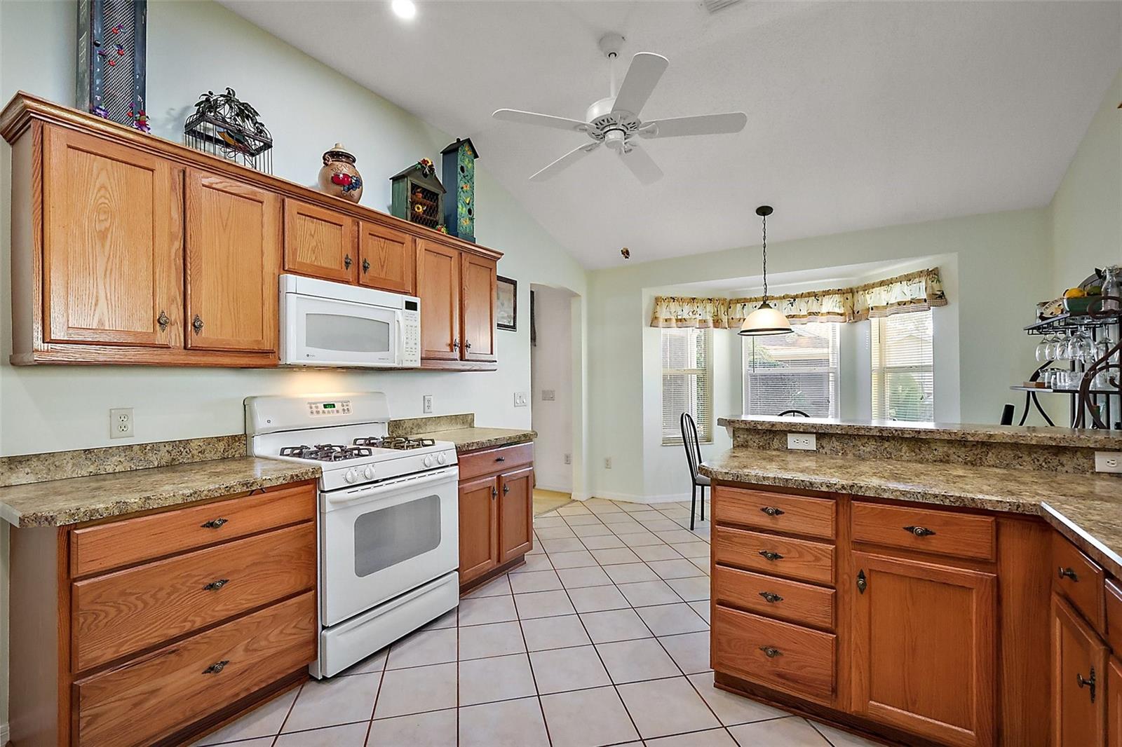 1874 KYRLE TER, THE VILLAGES, FL, 32162