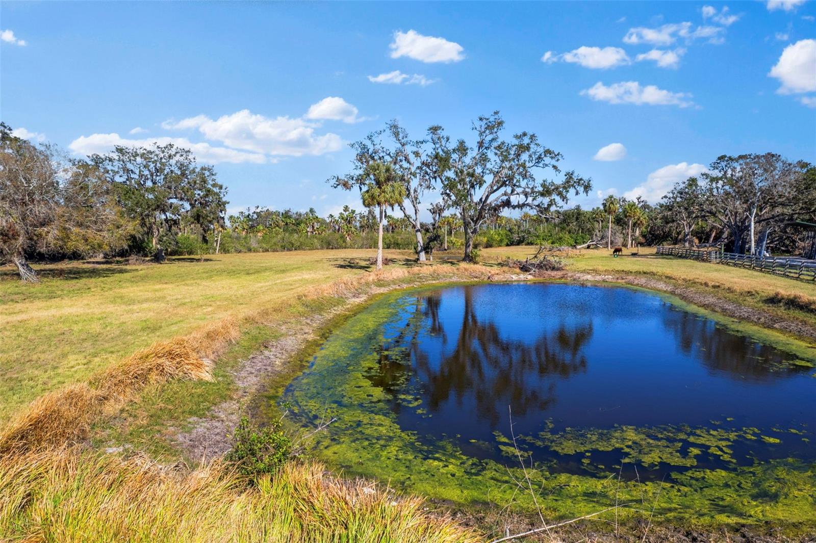 7000 US-19, TERRA CEIA, FL, 34250