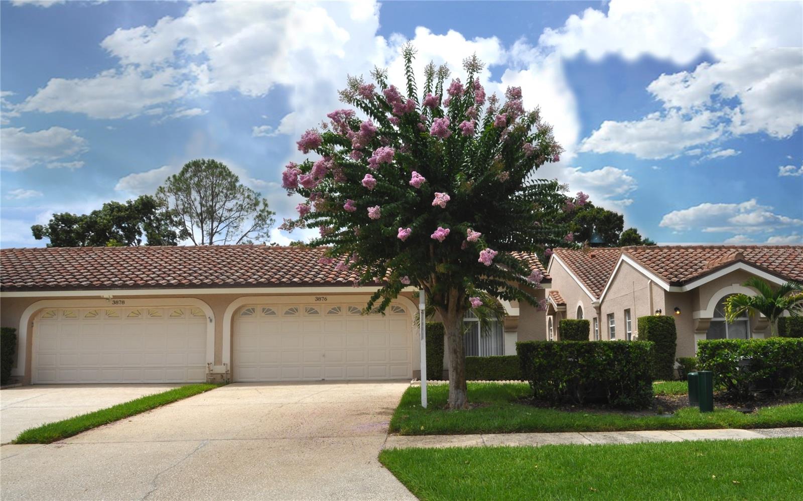 3876 DARSTON ST, PALM HARBOR, FL, 34685