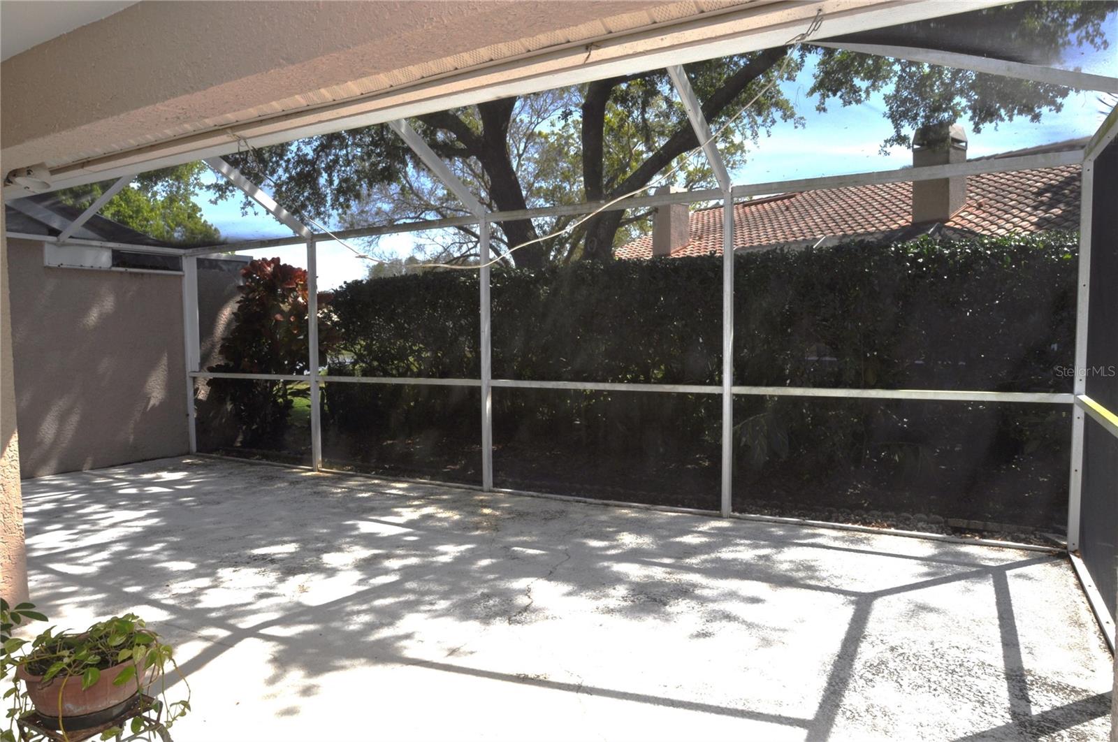 3876 DARSTON ST, PALM HARBOR, FL, 34685
