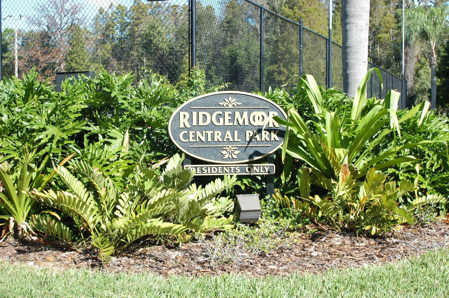 3876 DARSTON ST, PALM HARBOR, FL, 34685
