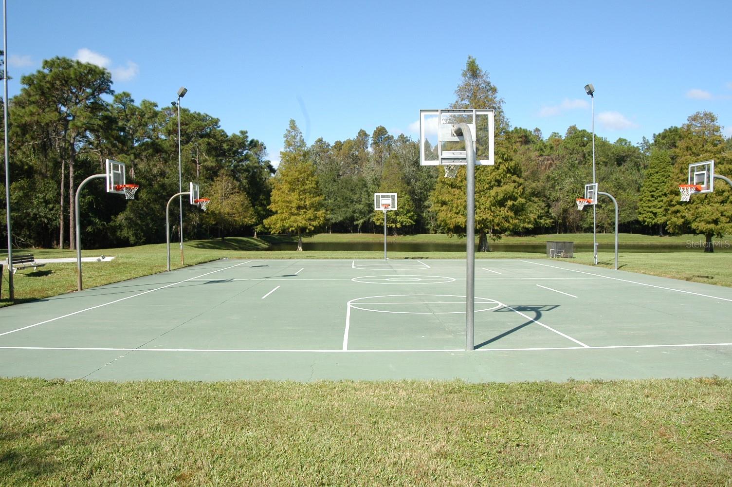 3876 DARSTON ST, PALM HARBOR, FL, 34685