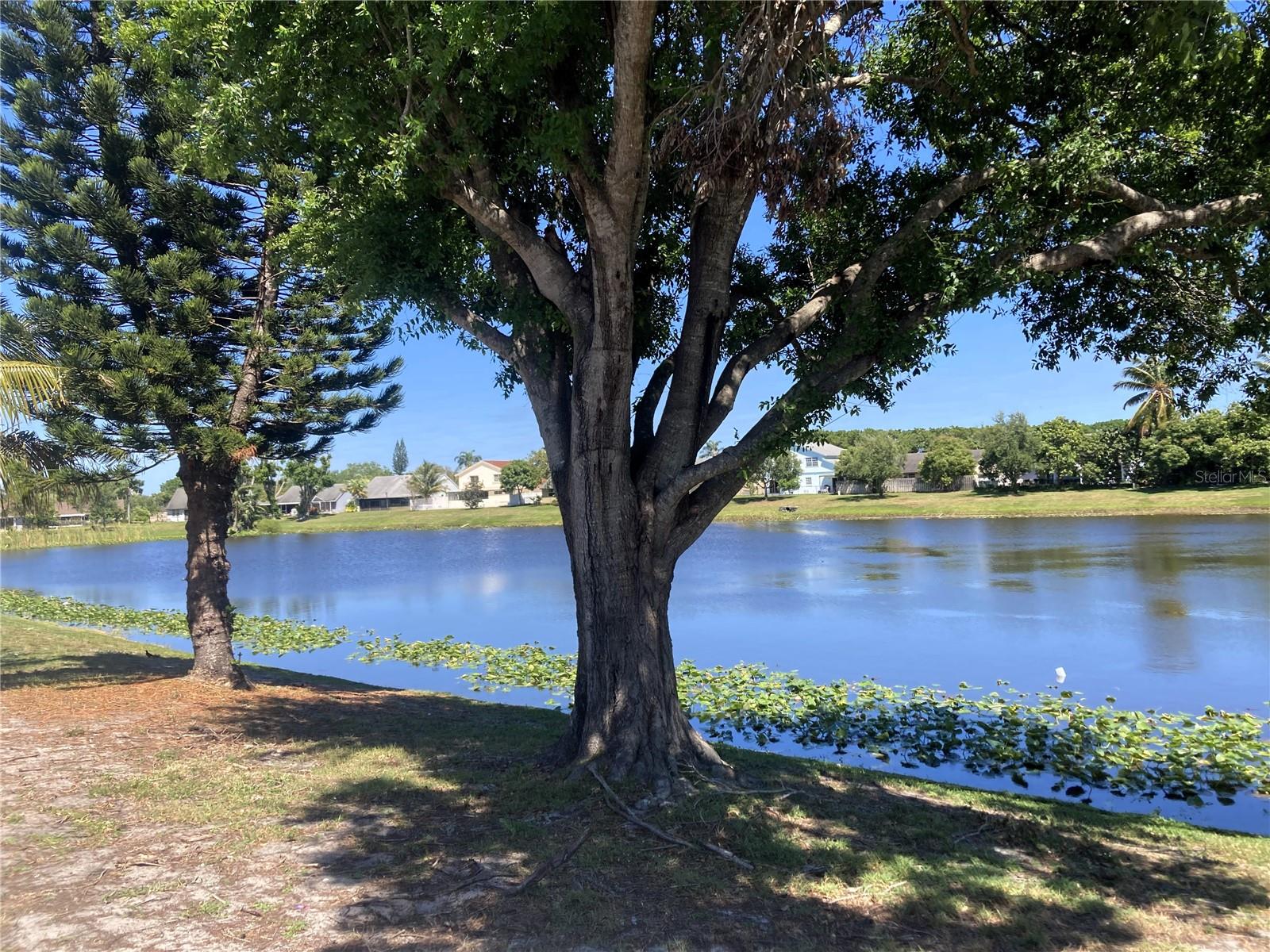 1818 EDGEWATER DR, BOYNTON BEACH, FL, 33436