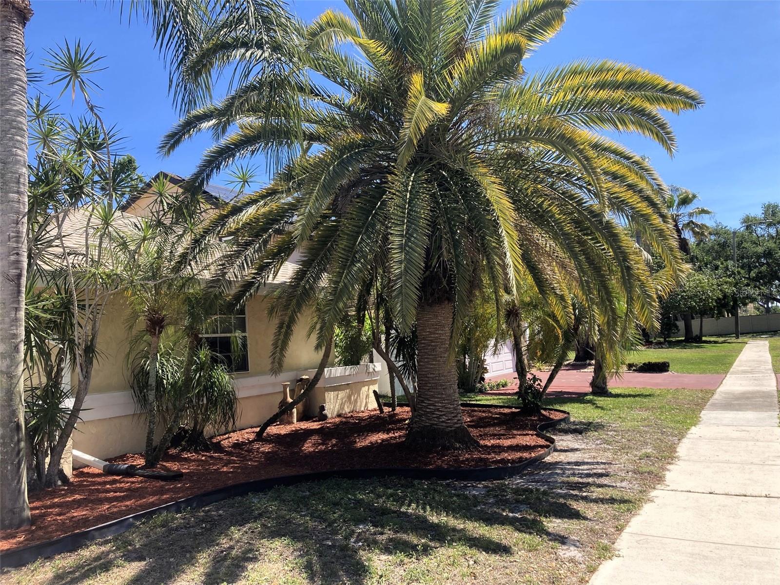 1818 EDGEWATER DR, BOYNTON BEACH, FL, 33436