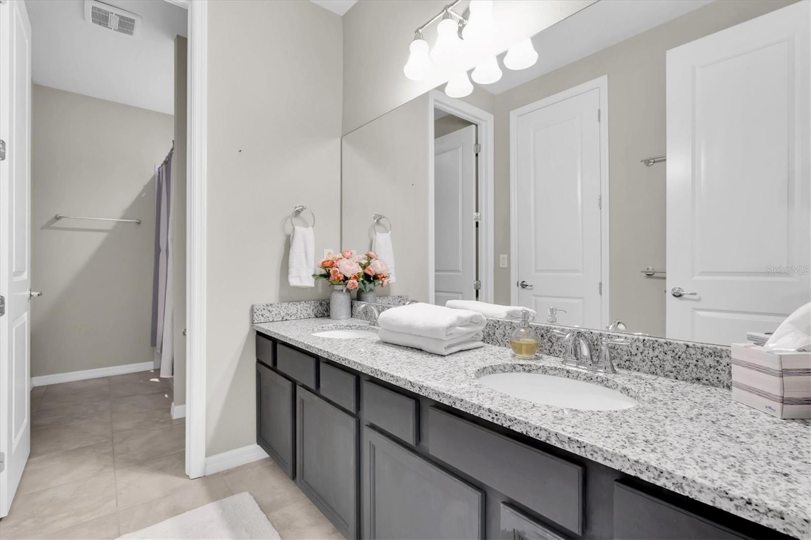 2596 WHITTLER BR, ODESSA, FL, 33556