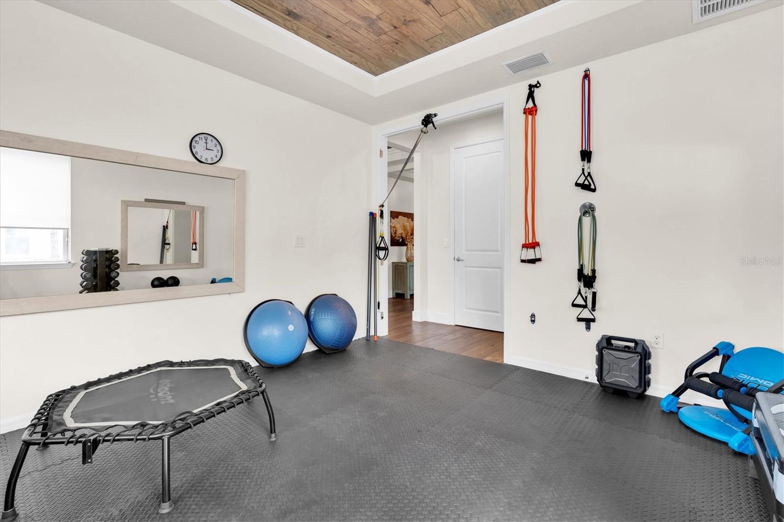 2596 WHITTLER BR, ODESSA, FL, 33556