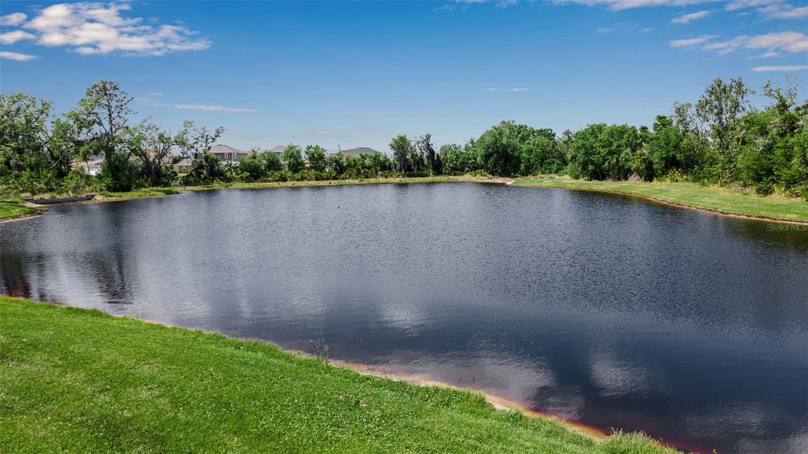 9133 WARM SPRINGS CIR, PARRISH, FL, 34219