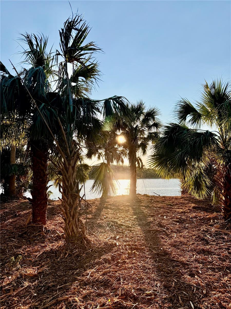 3668 JOHN ANDERSON DR, ORMOND BEACH, FL, 32176
